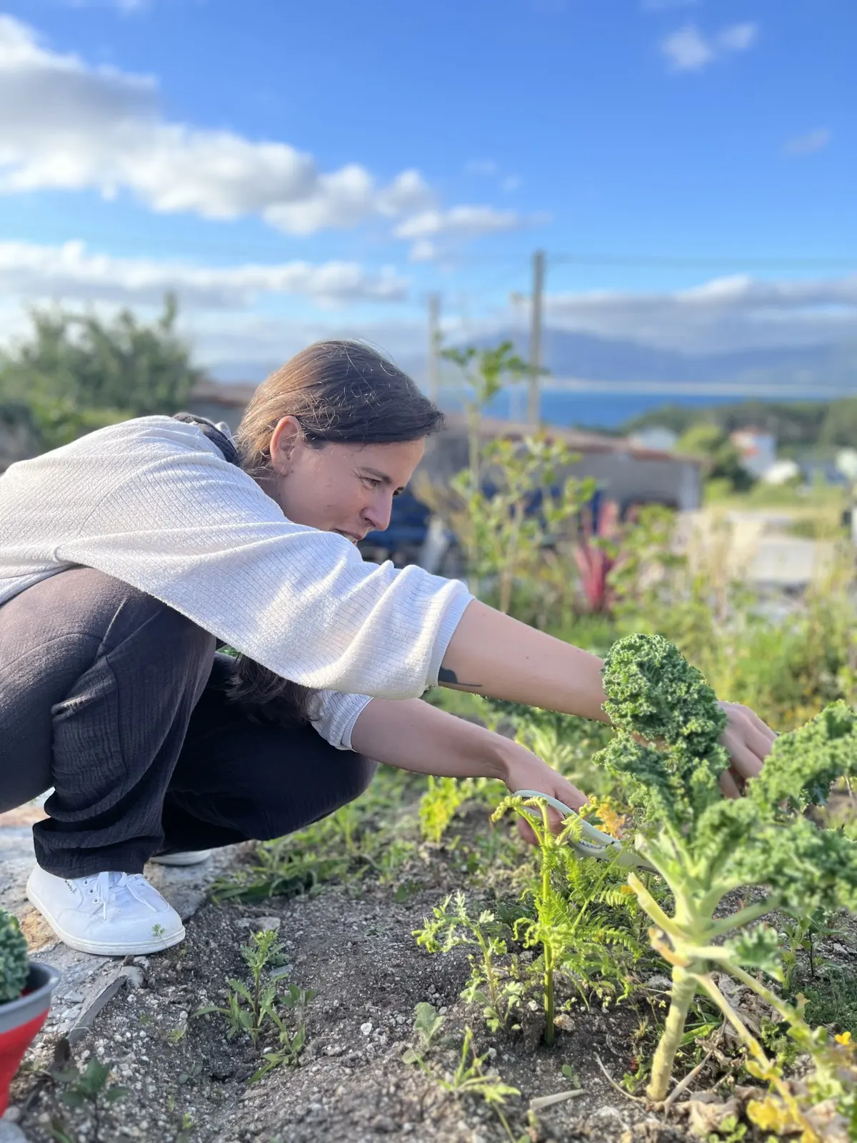 Local and conscious food